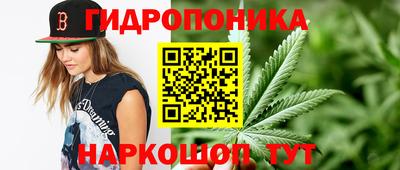 прущие крисы Нягань