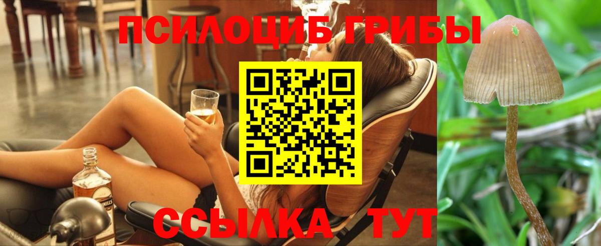 Псилоцибиновые грибы Magic Shrooms  Вход с VPN  Орск 