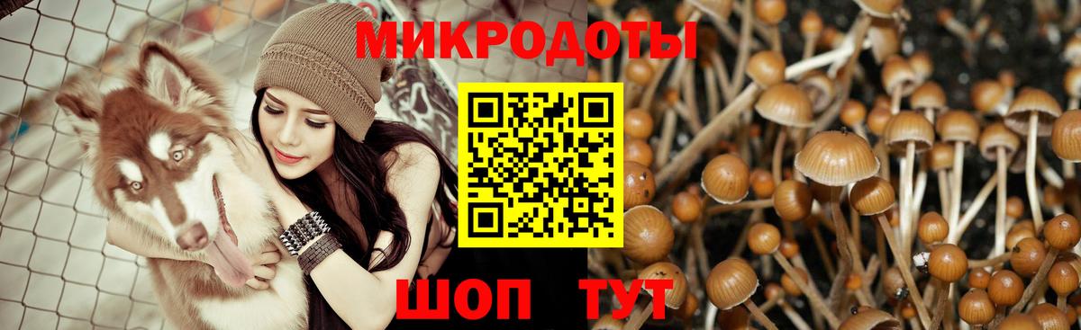 Псилоцибиновые грибы мицелий Орск